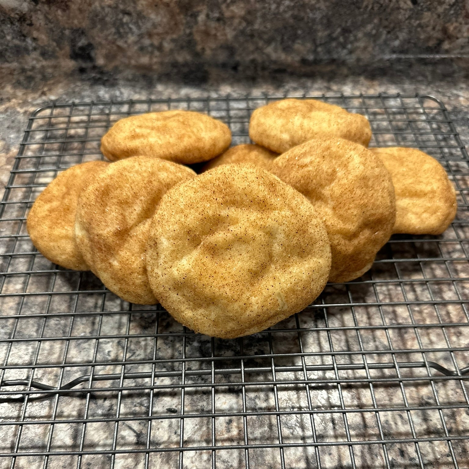 Indulgent Snickerdoodle